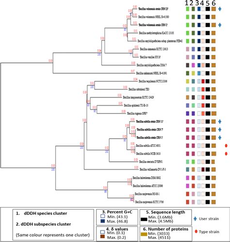 Whole Genome Phylogenomic Tree Of CRN 1 CRN 2 CRN 7 CRN 11 CRN 23