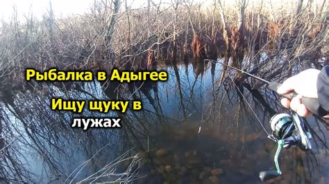Рыбалка в Адыгее 03.01.24. Ловлю щуку в луже - YouTube