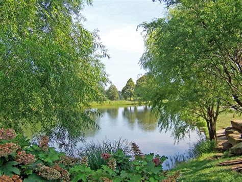 Pond Free Stock Photo Public Domain Pictures