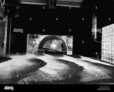 Employee Of The Desert Research Institute Studying Sand Movement In The