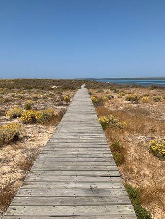 Ecomarine Algarve Faro Aktuelle Lohnt Es Sich Mit Fotos