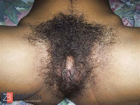 Unshaved Nymphs Two I Hope My Futur Girlfriend Is Fur Covered ZB Porn