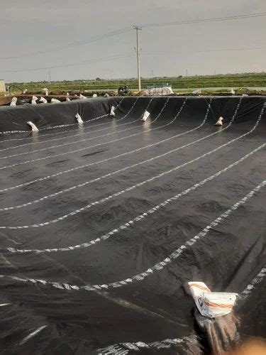 Black Hdpe Geomembrane Farm Pond Liner Sheet At Rs Square Meter In