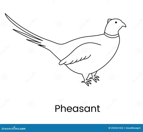 Pheasant Vector Drawing Cartoondealer