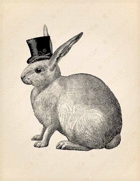 Instant Download Printable Vintage White Rabbit With Top Hat Etsy