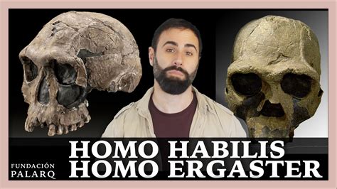 Homo Habilis Y Homo Ergaster Las Principales Especies De Homininos Y