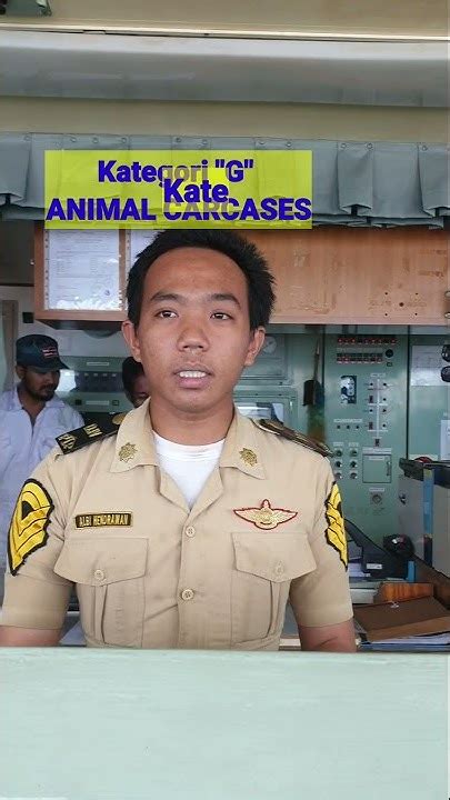 Peraturan Pencegahan Polusi Sampah Dari Kapal Oleh Deck Cadet Shorts