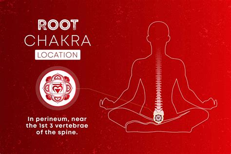 What Is Root Chakra Symbol Location And Its Signs Of Balanced