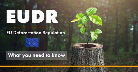 Timberplus Have You Heard Of The New Eudr Regulations On Wood Products