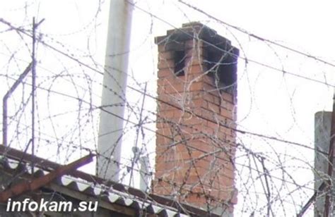 Прокуратура направила в суд дело женщины, ударившей ножом полицейского ...