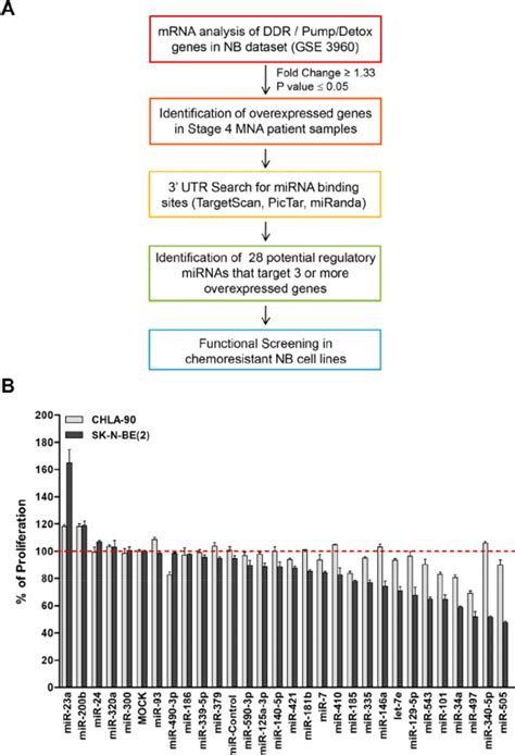 Functional Screening Of Selected Mirnas A Diagram Of In Silico