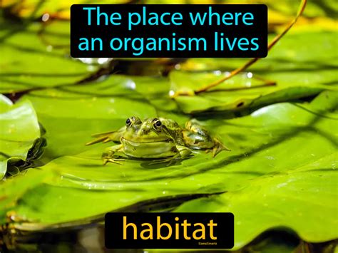 Habitat Definition And Image Flippy