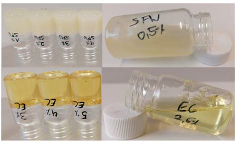 Oleogels—Their Applicability and Methods of Characterization