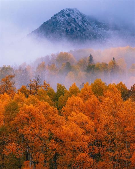 Cody Mayer Codymayer On X Autumn Scenes Fall Foliage Tour