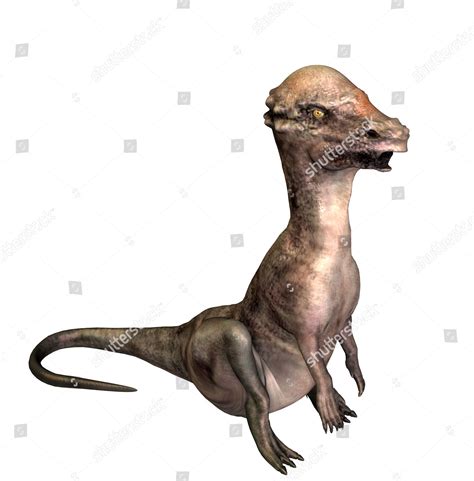 Dinosaur Pachycephalosaurus Height Approx 8m Editorial Stock Photo ...