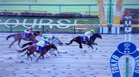 😰人気馬総崩れの💥大波乱 ️【第41回フェブラリーステークス】結果 掲示板 マイネ王