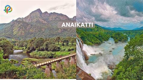 Anaikatti Travel Guide Explore The Foothills Of Nilgiri!