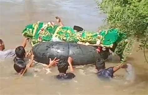 Viral Ada Di Pesisir Barat Lampung Warga Berenang Bawa Jenazah