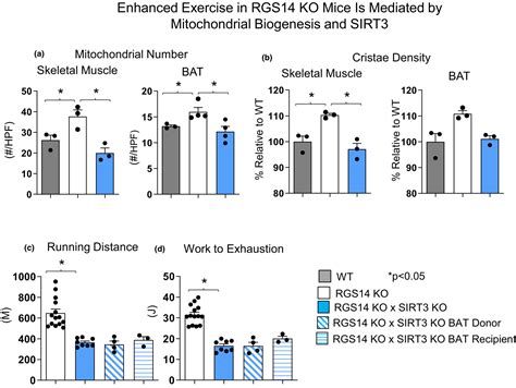 Exercise enhancement by RGS14 disruption is mediated by brown adipose ... 