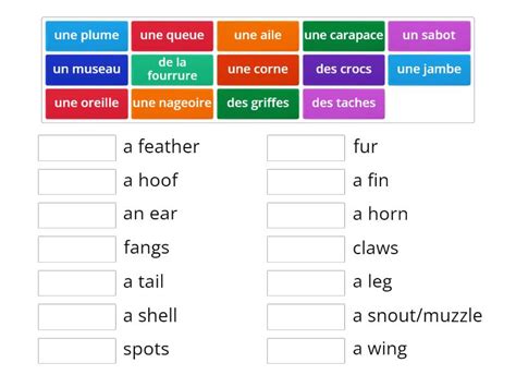 Les Animaux: Parties du corps (Animal Body Parts) - Match up