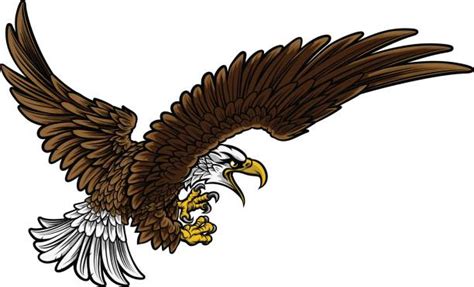 Best Eagle Talon Illustrations Royalty Free Vector Graphics And Clip Art