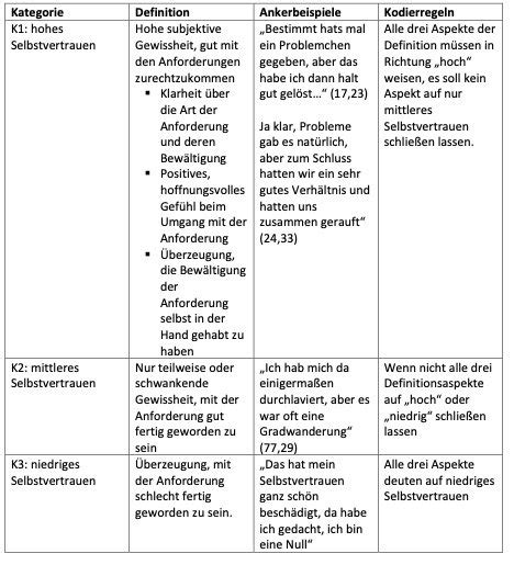 Qualitative Auswertung Von Interviews Text Und Wissenschaft