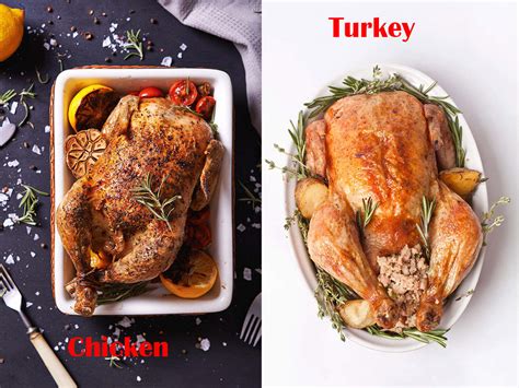 Which Has More Protein Turkey Or Chicken