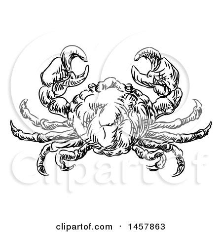 Clipart Of A Sketched Black And White Seafood Crab Royalty Free