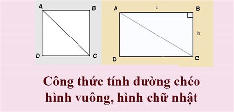 Đường Chéo Hình Bình Hành Có Bằng Nhau Không Khám Phá Sự Thật