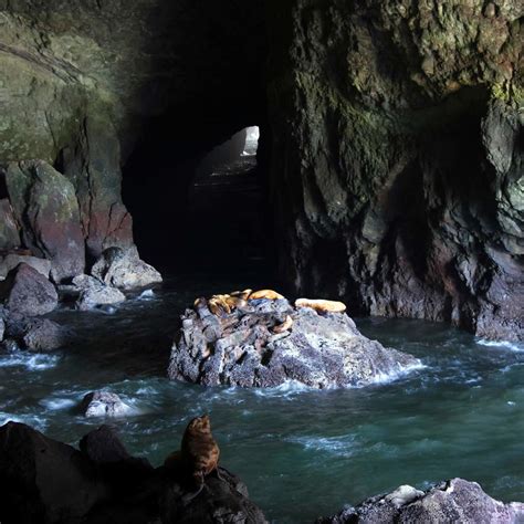 Sea Lion Caves in Florence, OR (11 Photos)