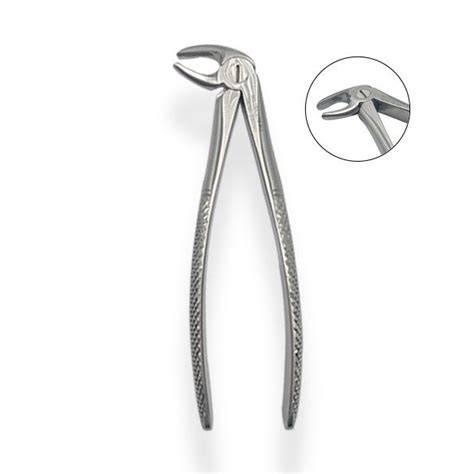 Extracting Forceps No A Upper Roots Barmaan Dental