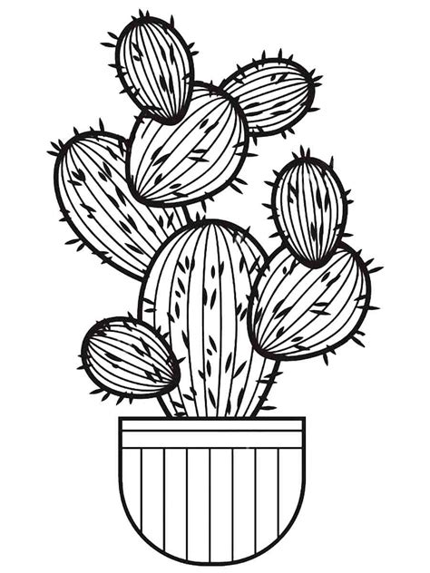 Succulent Coloring Pages
