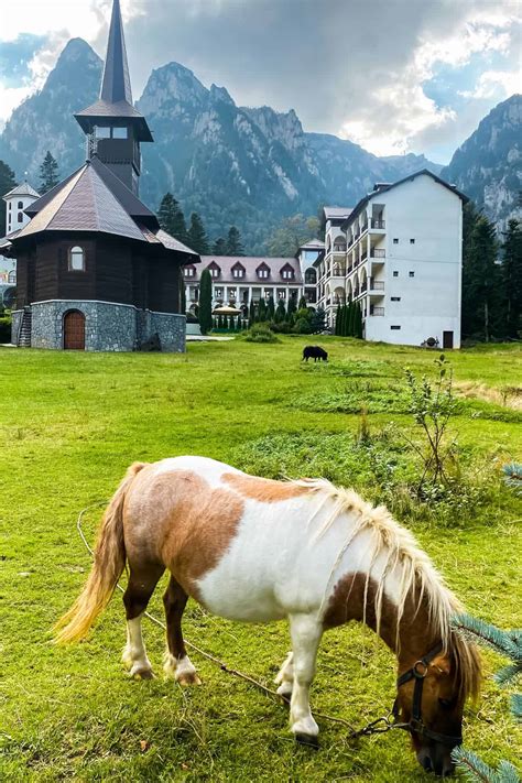 10 Best places to stay in Busteni Romania