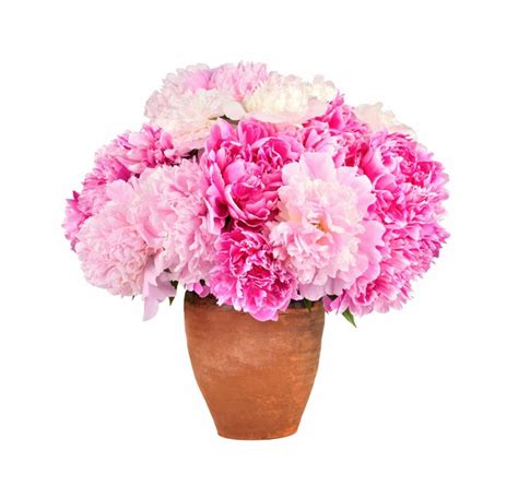 Premium Photo | Bright bouquet of peonies