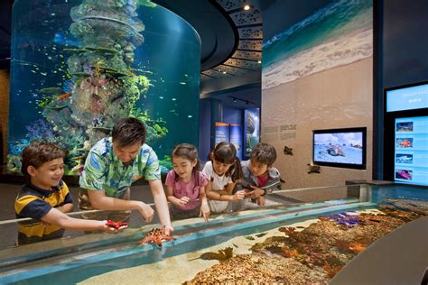 SEA Aquarium Singapore Tickets| Book & Get Upto 30% Off!