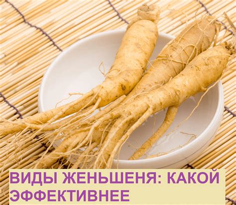 Виды женьшеня: какой эффективнее? | Корейский Женьшень купить женьшень ...