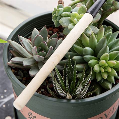 Vetplant Gereedschappen Mini Tuin Handgereedschap Grandado