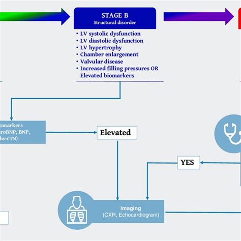 Stepwise Approach For Screening And Diagnosis Across Hf Stages Cxr