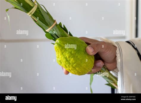 Simbolos Sucot Fotos E Im Genes De Stock Alamy