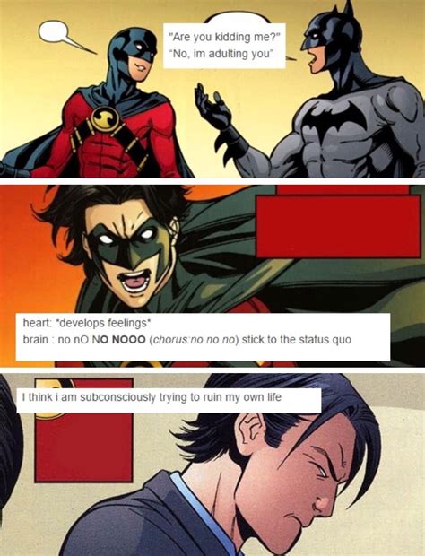 Tim Drake Tim Drake Superhero Comic Superhero Memes