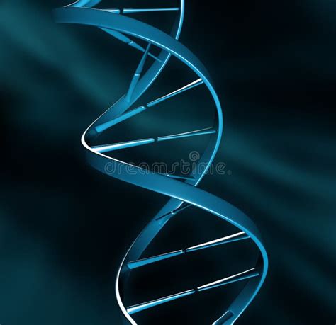 Dna Strand Stock Illustration Illustration Of Evolution