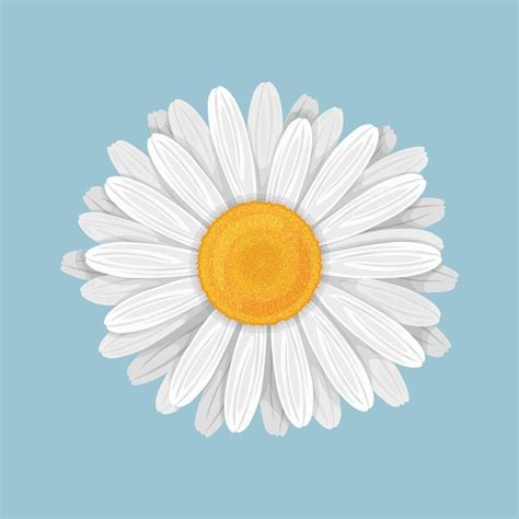 Chamomile Flower In Cartoon Style