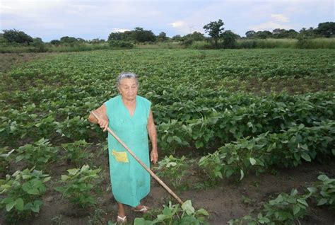 Bolivar Pequeños productores Suman a la Gran Misión Abastecimiento