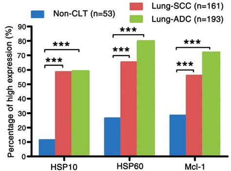 Expression Of Hsp10 Hsp60 And Mcl 1 In Lung Adc Lung Scc And Non Clt