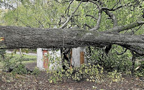 Tempête Ciaran de gros dégâts sur le site du son et lumière de Sainte