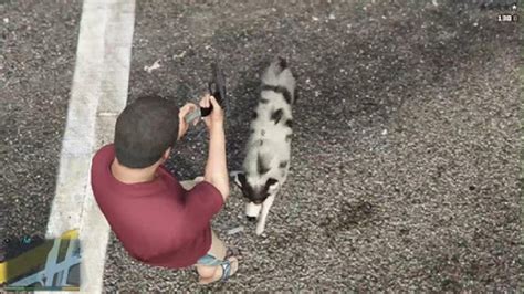 Gta5 Killed By A Dog Youtube