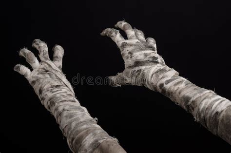 Halloween Theme Terrible Old Mummy Hands On A Black Background Stock