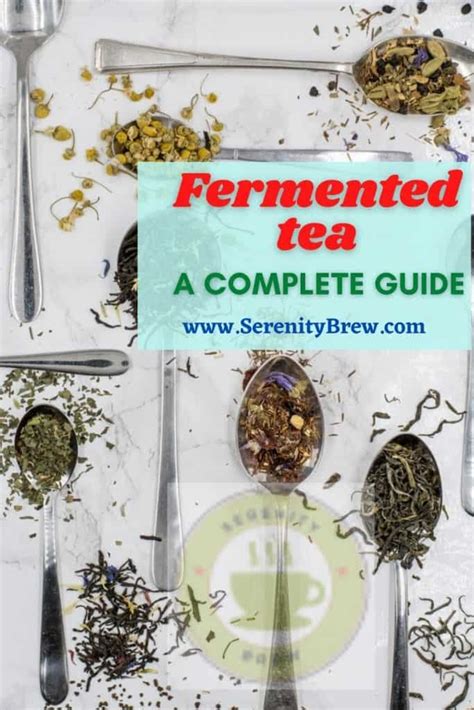 Fermented Tea A Complete Guide Serenity Brew