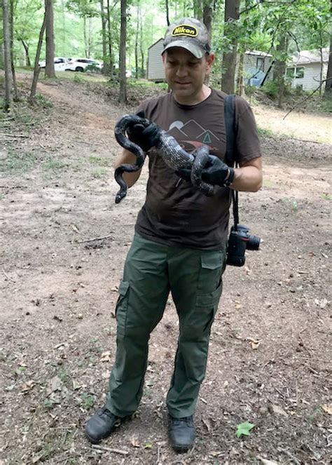 Six Foot Black Ratsnake Oglethorpe County Georgia William Wise