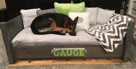 The Best Dog Bed You Wont Believe It But Its True Cool Dog Beds